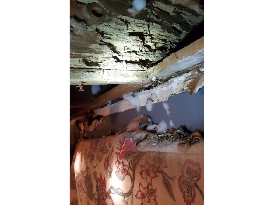 Termite mud tubes and damage found during inspection