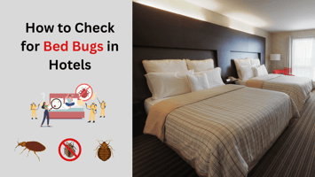 How to Check for Bed Bugs in Hotels in Long Island, NY