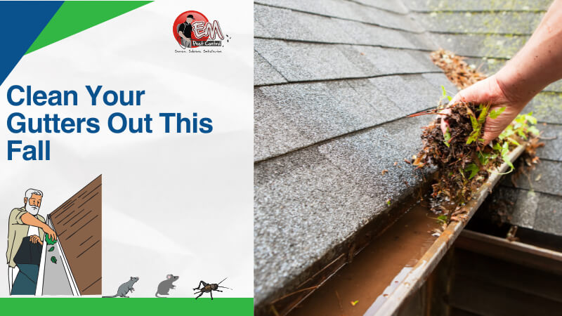 Clean Roof Gutters blog (1)2