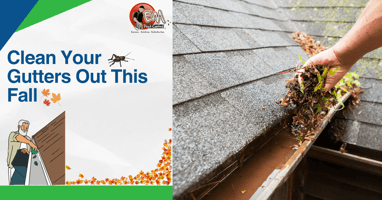 Cleaning Long Island Gutters 