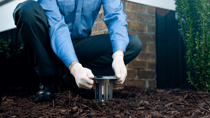 Installing Trelona Termite Bait Station