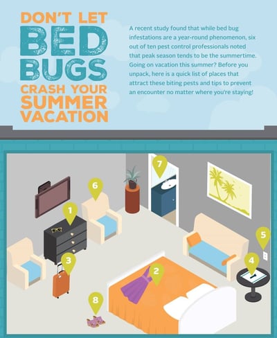 Places To Check For Bed Bugs In Hotels and Homes - Imgur-1