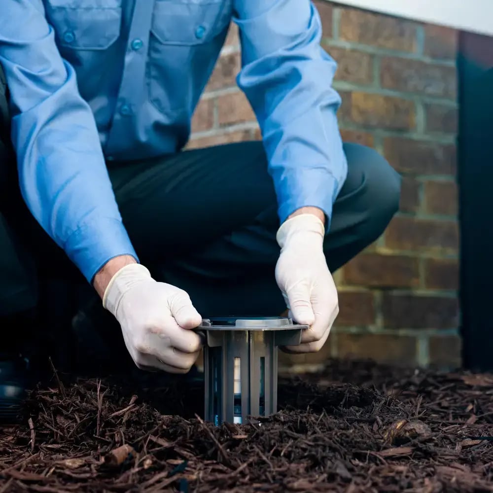 Technician installing Trelona ATBS Bait Station