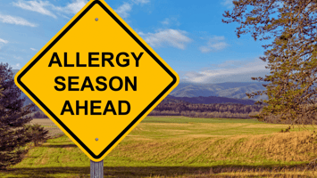 How Pest Control Improves Indoor Air Quality on Long Island, NY