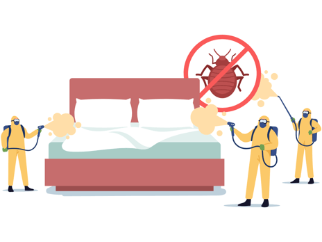 long island bed bug treatment