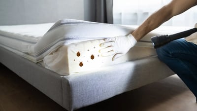 Bed Bug Inspections