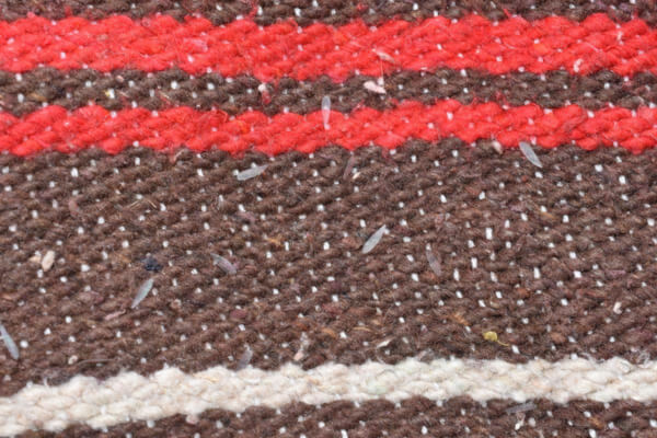 discarded (600 x 400 px)