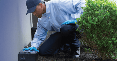 Your Local Rodent Exterminators in Uniondale, NY | EM Pest Control