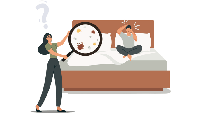 parent inspecting for bed bugs