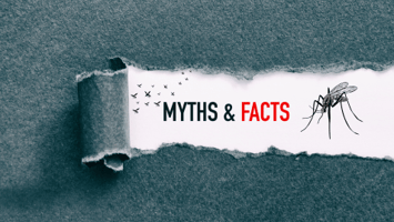 Busting Mosquito Myths on Long Island, NY