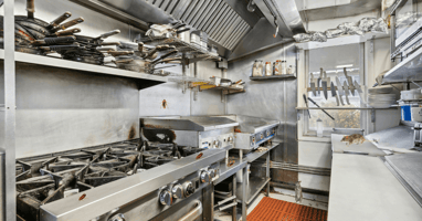 pests in the kitchen