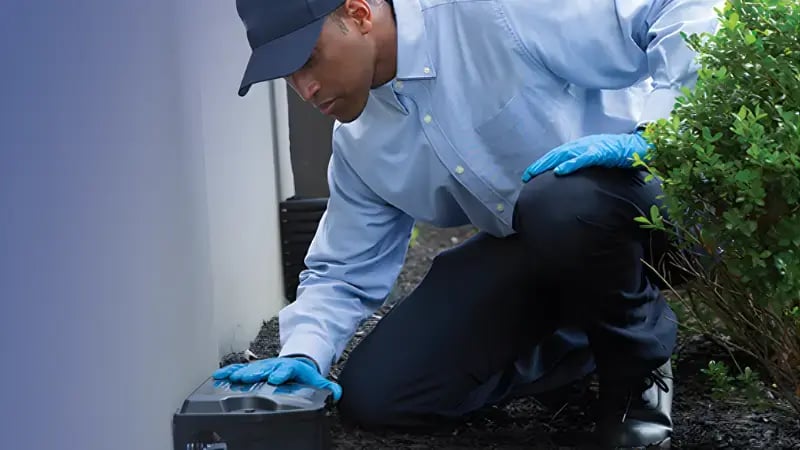 rodent control rodent control