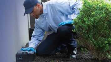 Rodent Control in Long Island, NY