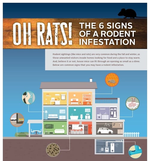 rodent_awareness_week_infographic_3-2-1
