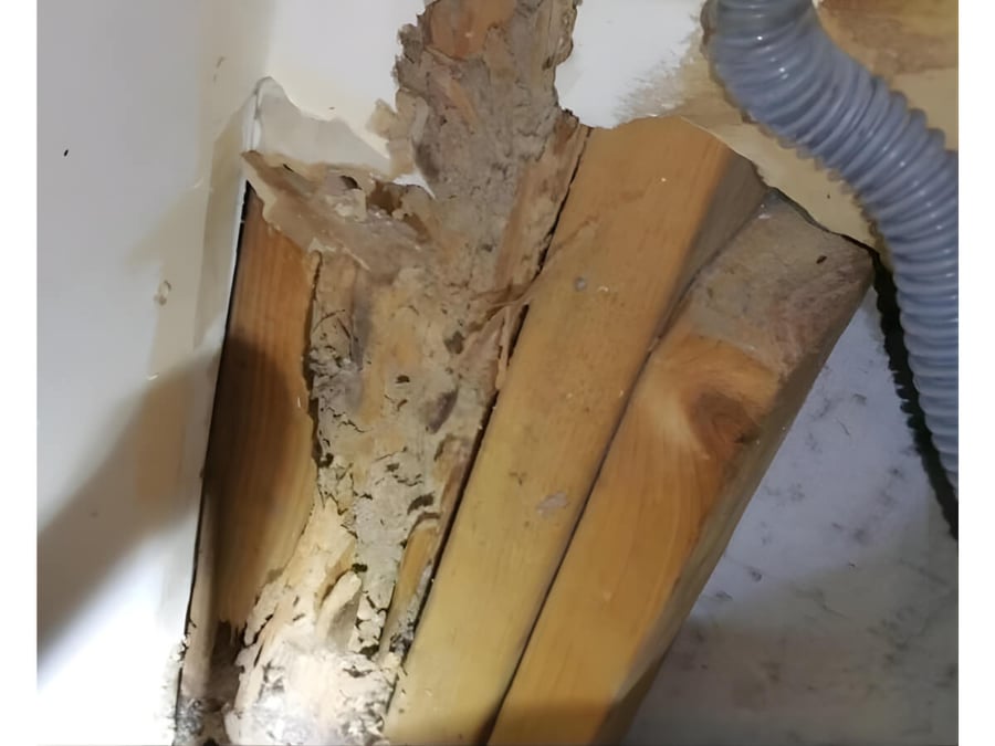 Hidden termite activity inside a wall cavity behind finished surfaces