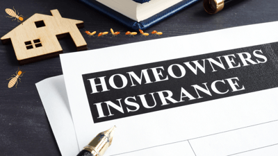 Termite Damage Not Covered By Homeowners' Insurance