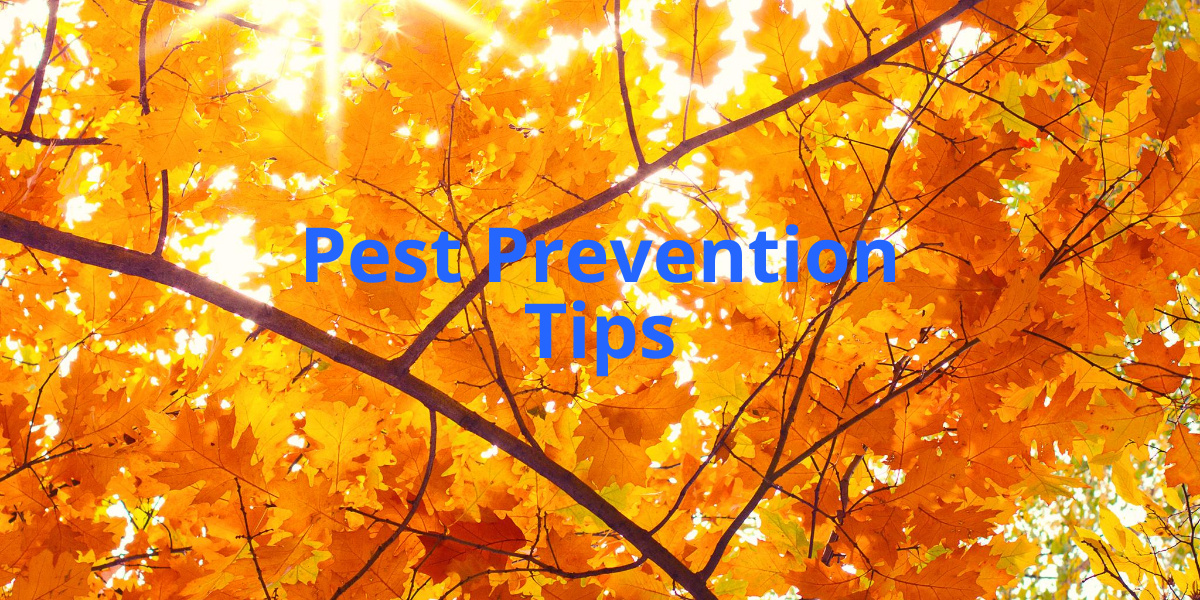 Fall Season Pest Prevention Tips