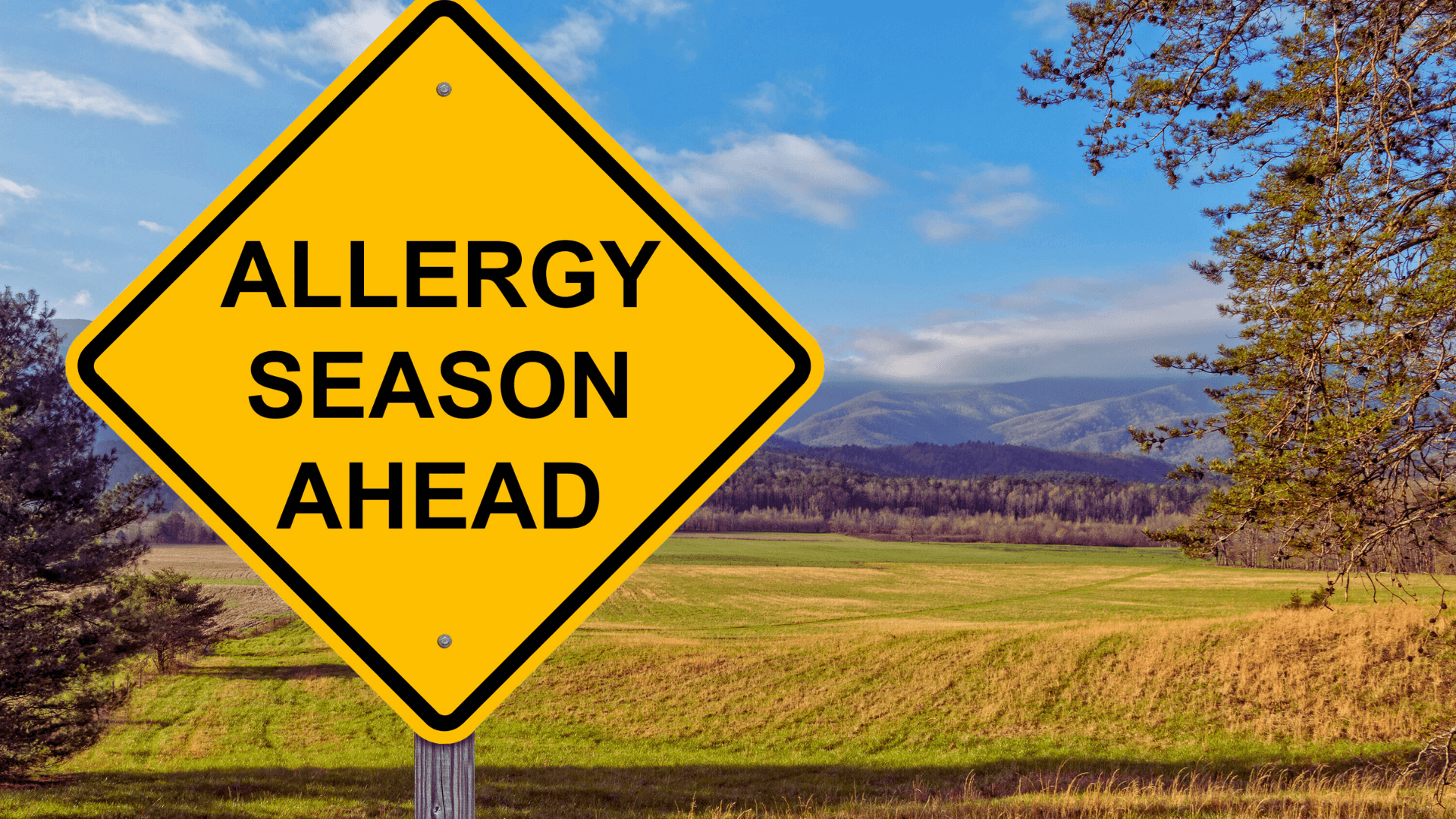 How Pest Control Improves Indoor Air Quality on Long Island, NY