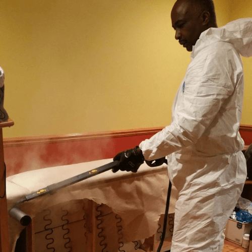 bed bug heat treatment (1)