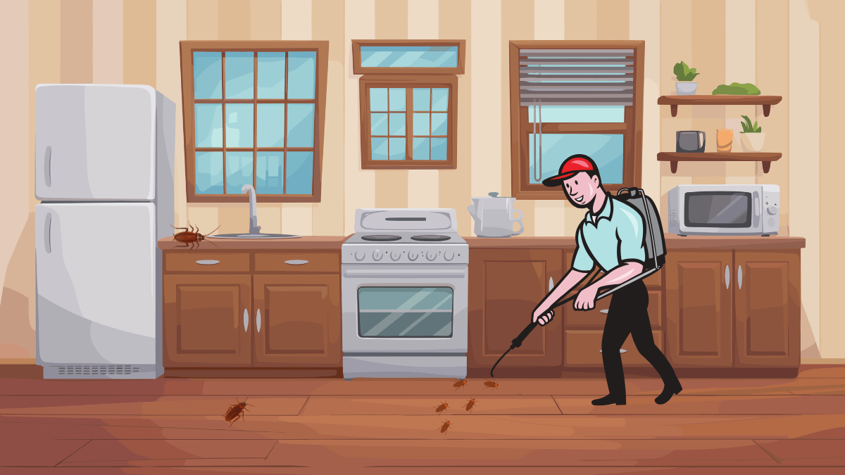 Cockroach Control and Treatment on Long Island