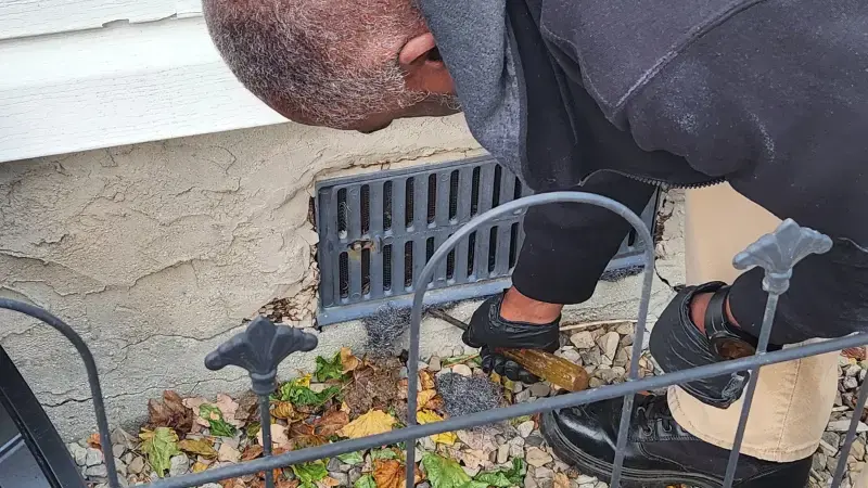 Steel mesh exclusion on roof vent