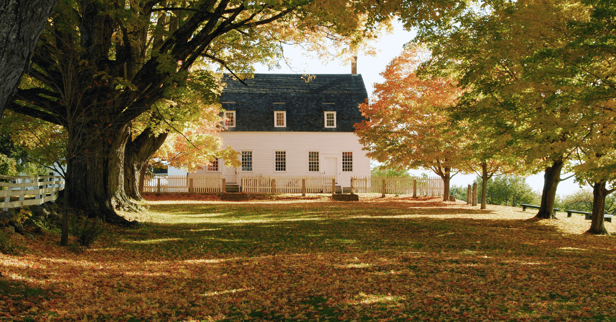 fall season