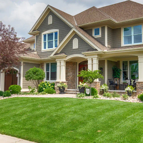 Pest Control Services on Long Island, NY