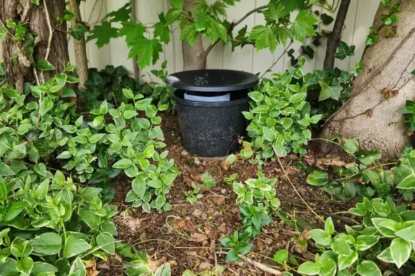 in2care placement in shade area