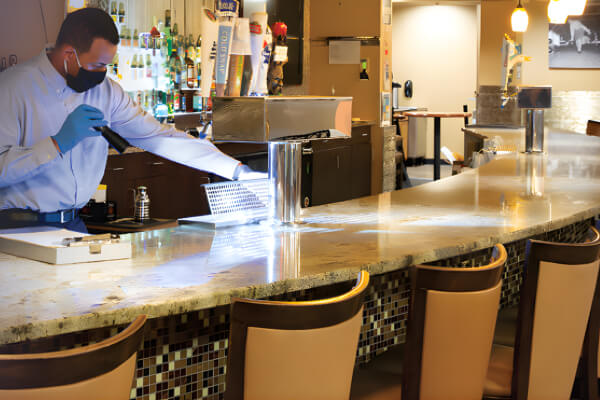 Commercial pest control inspection for a Long Island business