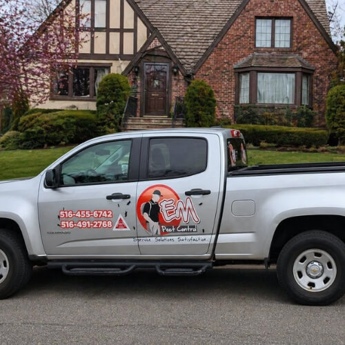 Kings Point, NY Pest Control