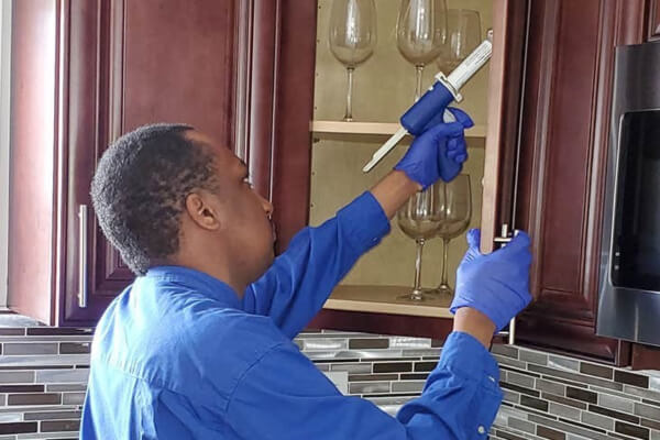 Residential Pest Control Long Island