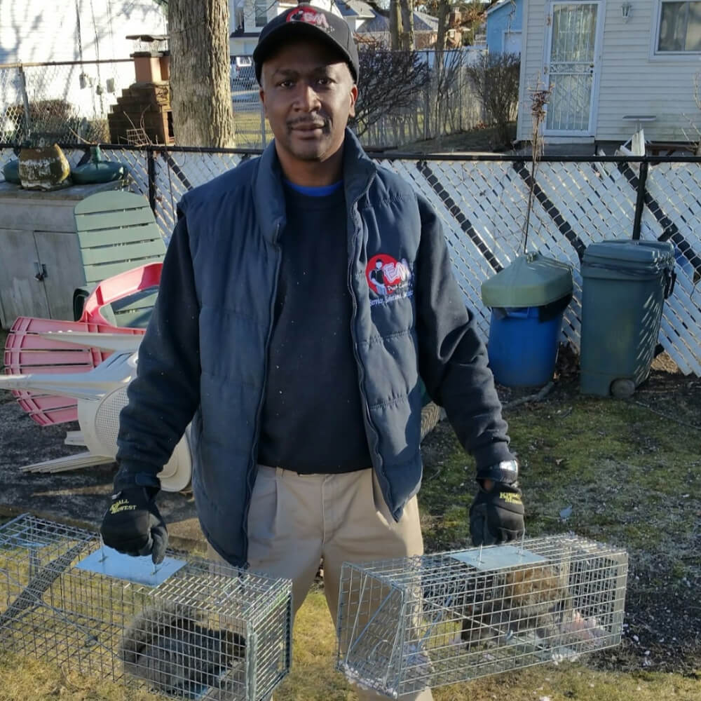 squirrel cap (1000 x 1000 px)