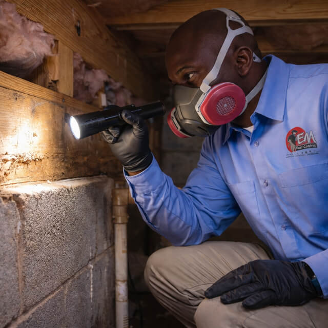 technician performing a termite inspection